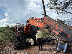 Polisi Ungkap Perambah Hutan Produksi di Bengkalis, Bos Ditangkap