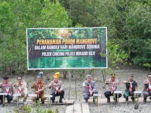 Ekspedisi Merah Putih, Kapolda Riau Bawa Misi Jaga Alam di Pesisir Inhil