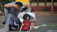 Seni Pertunjukan Kontemporer Warnai Kawasan Bersejarah Cikini