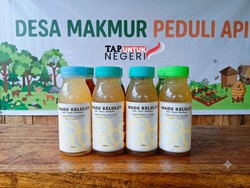 TAP Untuk Negeri Buka Akses Pasar Madu Kelulut UMKM Muara Lesan