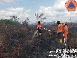 Karhutla di Sumsel Makin Luas, Pemadaman Terus Dioptimalkan