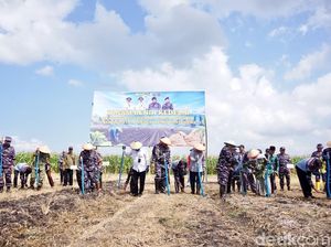 Banyuwangi Jadi Pilot Project Penanaman Kedelai 1.200 Hektare