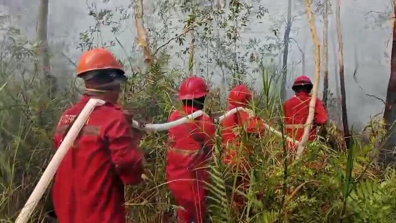 Karhutla Muncul di Enam Daerah Sumsel, Ini Sebarannya