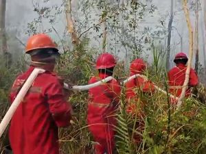 Karhutla Muncul di Enam Daerah Sumsel, Ini Sebarannya