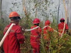 Karhutla Muncul di Enam Daerah Sumsel, Ini Sebarannya
