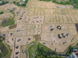 Hujan Buatan Jadi Harapan Saat Kemarau Berkepanjangan
