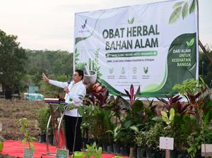 Kepala BPOM Resmikan Pusat Tanaman Obat Bahan Alam di Palembang Seluas 21 Ha
