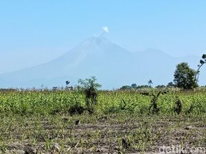 Semeru Kembali Luncurkan Lava Pijar Sejauh 1 Kilometer Sabtu Dini Hari
