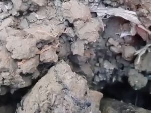 Heboh Aliran Air Misterius di Lahan Tembakau Sampang, Begini Kata BPBD