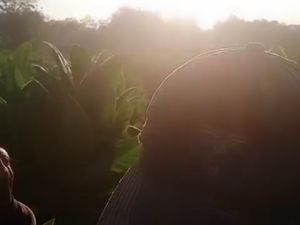 Gemercik dari Bawah Lahan Tembakau di Sampang Itu Seperti Air Terjun