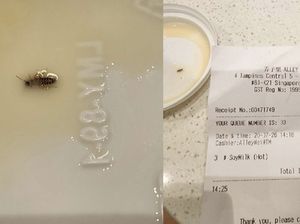 Temukan Anak Kecoak di Susu Kedelai, Wanita Ini sampai Muntah 4 Hari