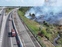 Lahan 14 Hektare di Sekitar Tol Palindra Terbakar