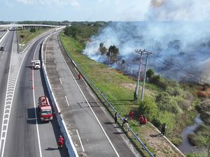 Lahan 14 Hektare di Sekitar Tol Palindra Terbakar