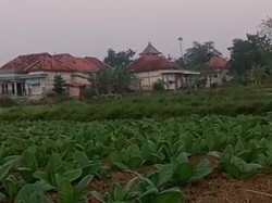 Pemerintah Diminta Tanggapi Serius Suara Aliran Air Misterius di Sampang