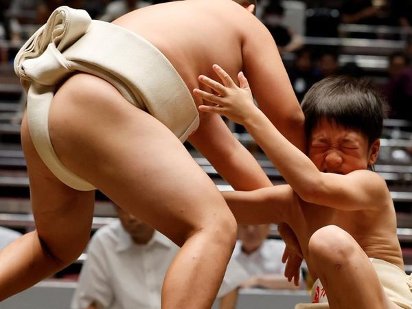 Menggemaskan tapi Tangguh! Pegulat SD Bertarung di Turnamen Sumo Tokyo