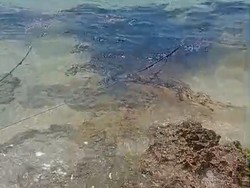 Bencana Lingkungan di Pulau Semau, 6 Ton Oli Cemari 8 Desa