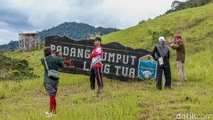 Potret Syahdu Savana Long Tua Kaltara di Pagi Hari