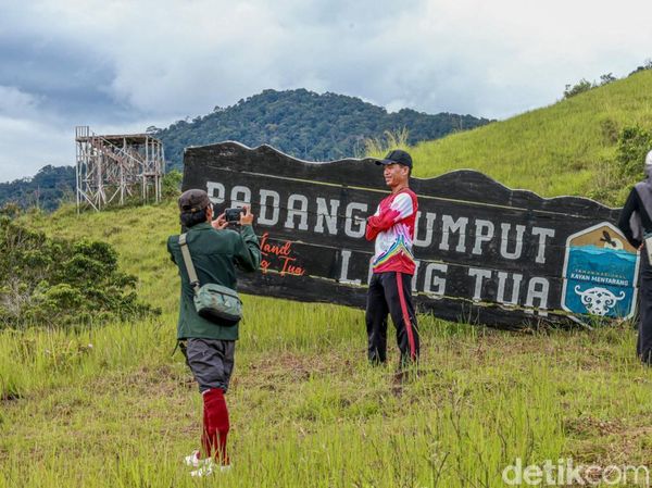 Potret Syahdu Savana Long Tua Kaltara di Pagi Hari