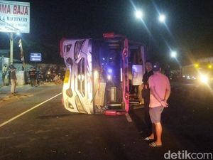 Hindari Onthel Nyeberang, Bus Mira Terguling di Ceper Klaten