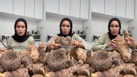 Apa Itu Kimpul? Umbi Lokal yang Mendadak Viral di X