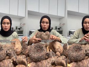 Apa Itu Kimpul? Umbi Lokal yang Mendadak Viral di X