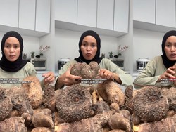 Apa Itu Kimpul? Umbi Lokal yang Mendadak Viral di X