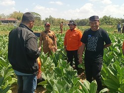 Tanah dengan Suara Aliran Air Misterius di Sampang Berbau Belerang