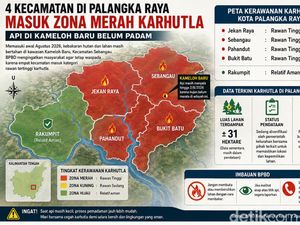 Waspada! 4 Kecamatan di Palangka Raya Masuk Zona Merah Karhutla