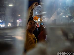 Empat Sistem Karantina Diperkuat, Ekspor Ikan Hias Indonesia Makin Mendunia