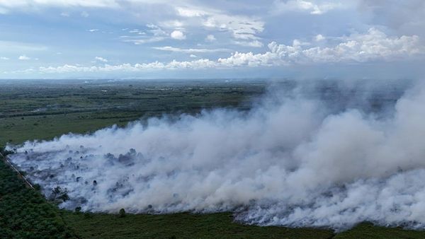 19 Hektare Kawasan Gambut di Aceh Barat Terbakar, Begini Penampakannya