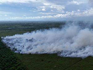 19 Hektare Kawasan Gambut di Aceh Barat Terbakar, Begini Penampakannya