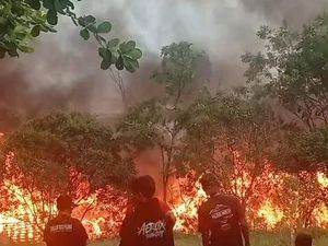 Lapak Rongsokan di Citereup Bogor Kebakaran, Api Menyala Besar