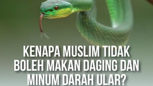 Kenapa Muslim Tidak Boleh Makan Daging dan Minum Darah Ular?