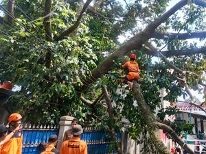 Pohon Durian 20 Meter Tumbang Timpa Rumah dan Kabel Listrik di Bogor