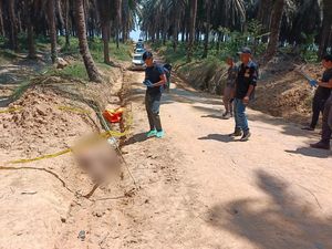 Jasad Pria Ditemukan di Parit Kebun Sawit Muba, Ada Luka Lebam di Dada