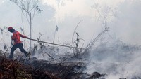 BNPB Sebut Titik Panas Karhutla di Kalimantan Meningkat, Prioritaskan OMC