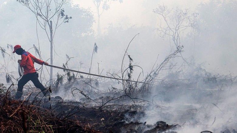 Kalbar Perang Lawan Karhutla, Jangan Sampai 2019 Terulang!