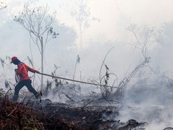 Lagi! Pria di Sampit Jadi Tersangka gegara Bakar Tumpukan Ranting