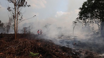 Pesawat Asing Ikut Tangani Karhutla
