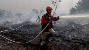 Karhutla Kalbar 2019: Bakar 151 Ribu Hektare, 159 Perusahaan Disanksi