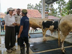 Rieke Heran Napi Lapas Karawang Tak Mau Pulang Rumah: Mau Kerja di Sini?
