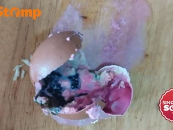 Pria Kaget Pecahkan Telur, Isinya Berwarna Hijau dan Merah Muda!
