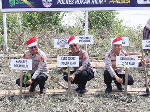 Ekspedisi Merah Putih Jangkau Pesisir Sinaboi Riau, Tanam 810 Mangrove