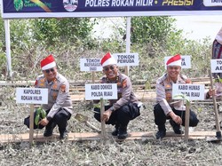 Ekspedisi Merah Putih Jangkau Pesisir Sinaboi Riau, Tanam 810 Mangrove