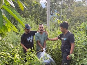Kurir Narkoba di Aceh Ditangkap Saat COD, Ganja Diumpetin di Semak-semak