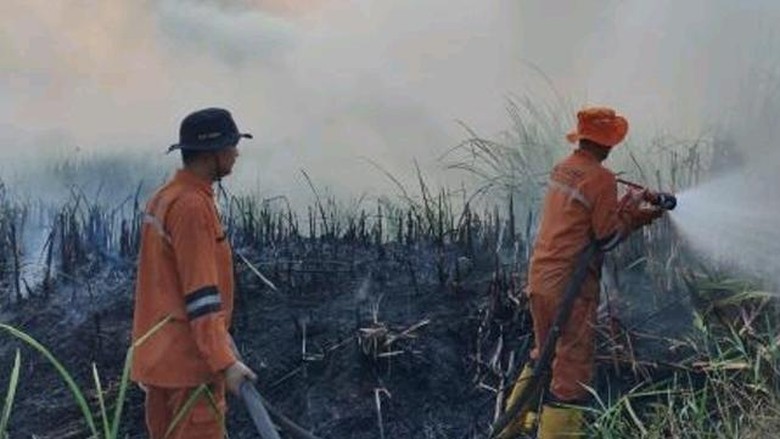 Hotspot di Sumsel Capai 1.971 Titik, Tertinggi Sepanjang 2026
