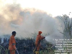 Video Ribuan Hektare Lahan di Sumsel Juga Terbakar, 11.567 Personel Diterjunkan