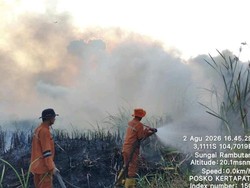 Karhutla di Sumsel Tembus 37 Kejadian dalam Sehari
