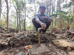 Cerita Warga Klayu Gunungkidul Terpaksa Jual Kambing untuk Beli Air Bersih