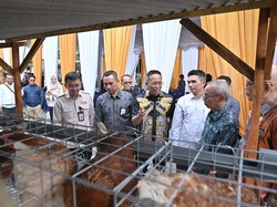 Bank NTB Syariah Salurkan Bantuan Ayam Petelur ke Warga Lombok Timur